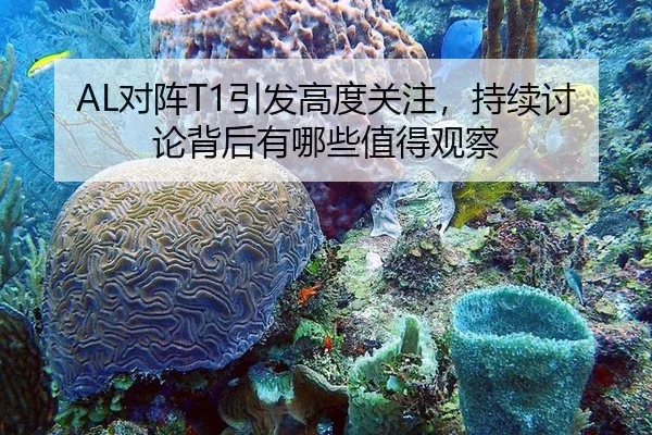 AL对阵T1引发高度关注，持续讨论背后有哪些值得观察